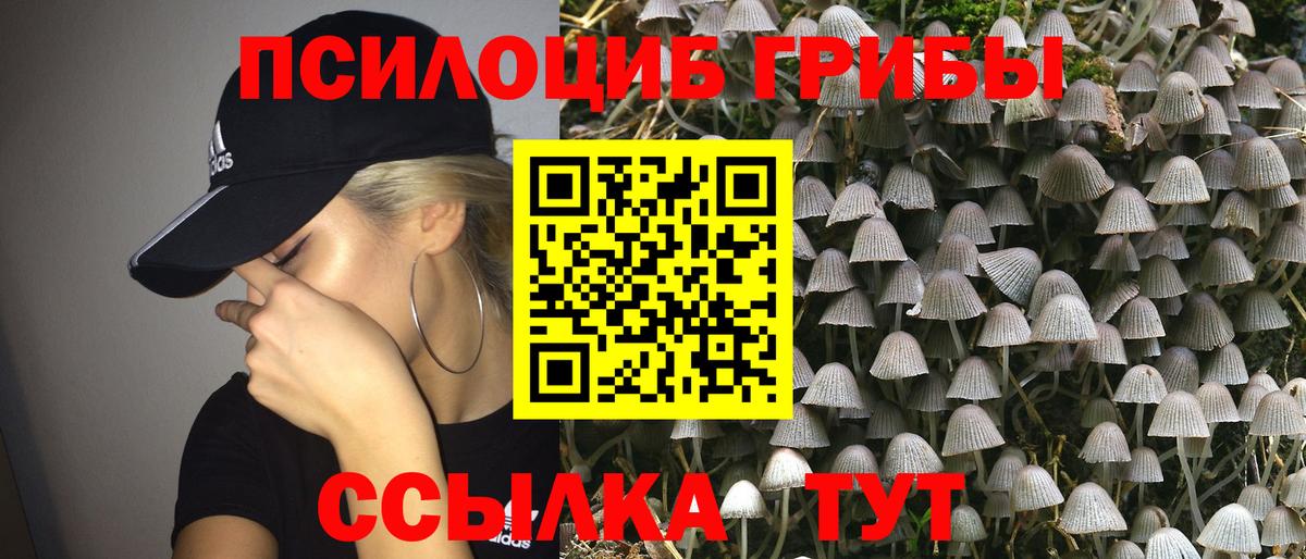 Галлюциногенные грибы мухоморы Елизово
