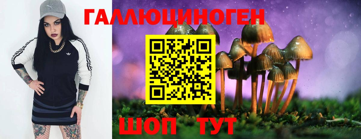 Елизово  Псилоцибиновые грибы Psilocybine cubensis  Вход с VPN 