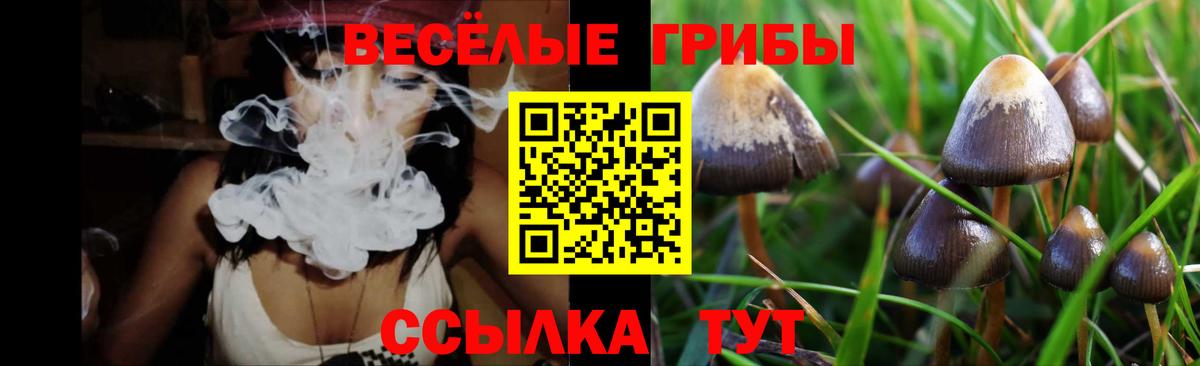 Марихуана Елизово